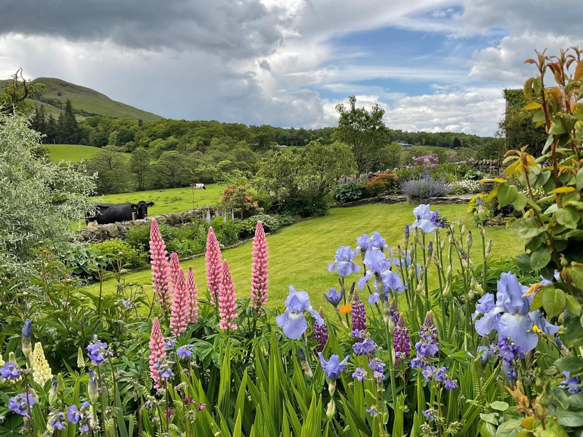 River View Knockraich Farm Fintry 外观 照片