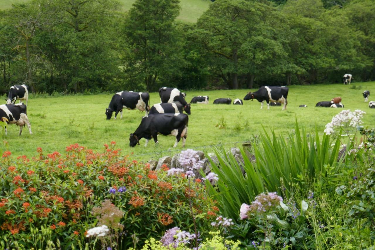 River View Knockraich Farm Fintry 外观 照片